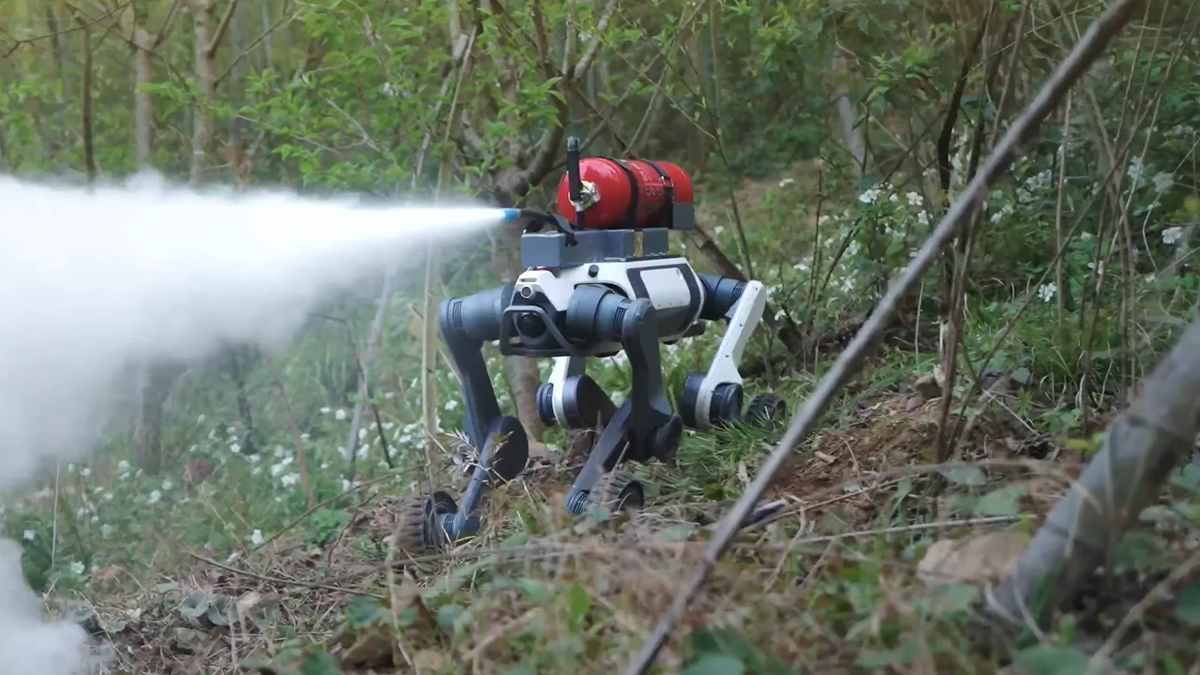 Robot with wheels 4